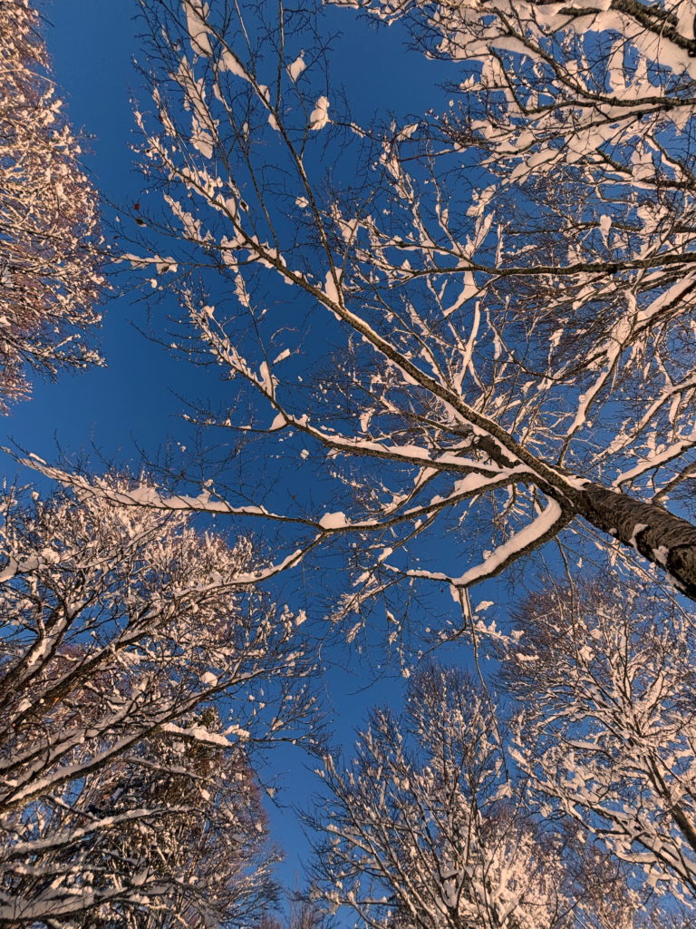 F17536CE-A155-4E2C-BAE4-5C266A2ACC99